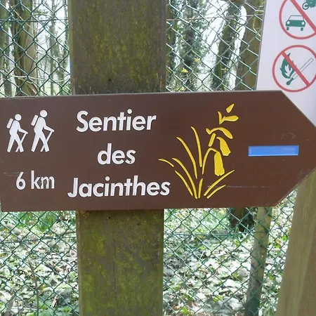 Les Chtis Anges *